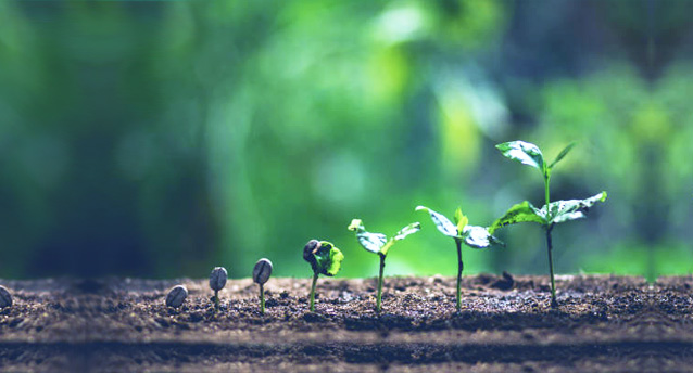 Sustainable Management